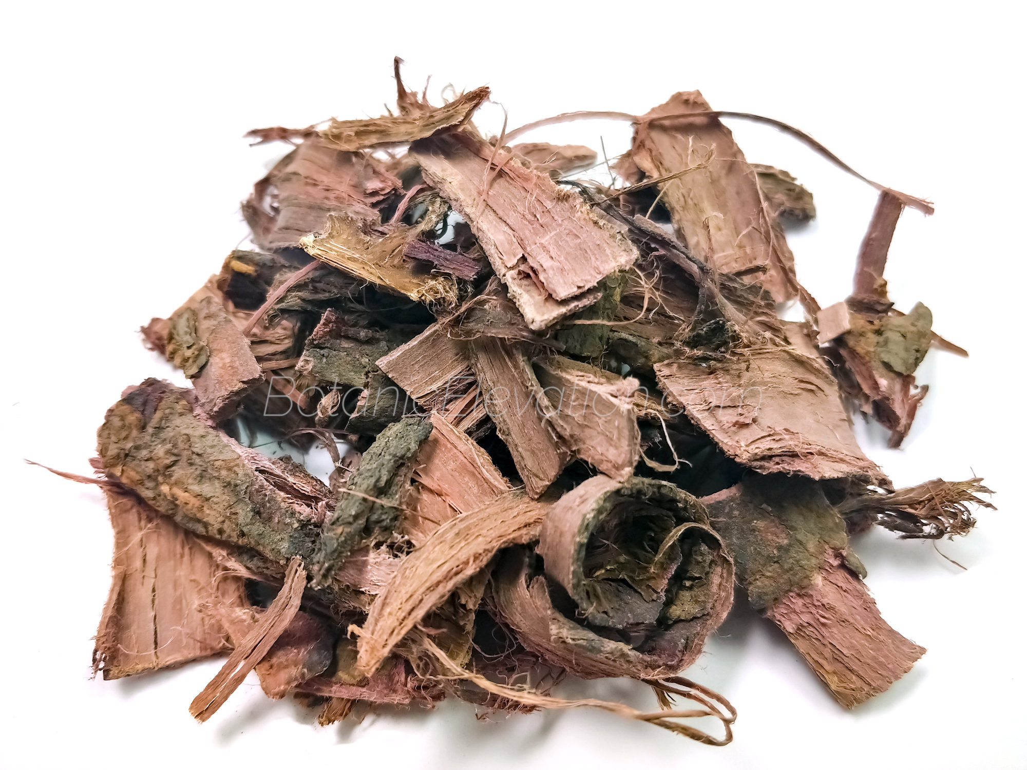 Mexican Mimosa Hostilis Root Bark Whole